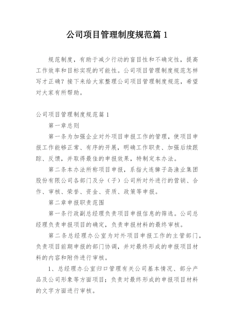 公司项目管理制度规范篇1.docx