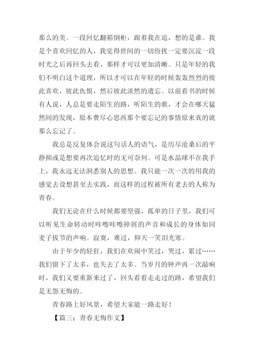 青春无悔作文-7.docx