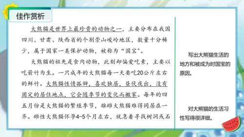 统编版三年级语文下册单元作文能力提升第七单元习作：国宝大熊猫（教学课件）