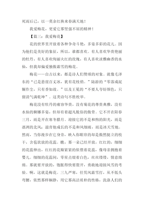 梅花的作文-10.docx