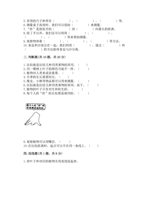 教科版一年级上册科学期末测试卷（有一套）.docx