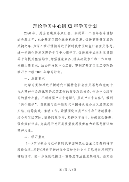 理论学习中心组XX年学习计划.docx