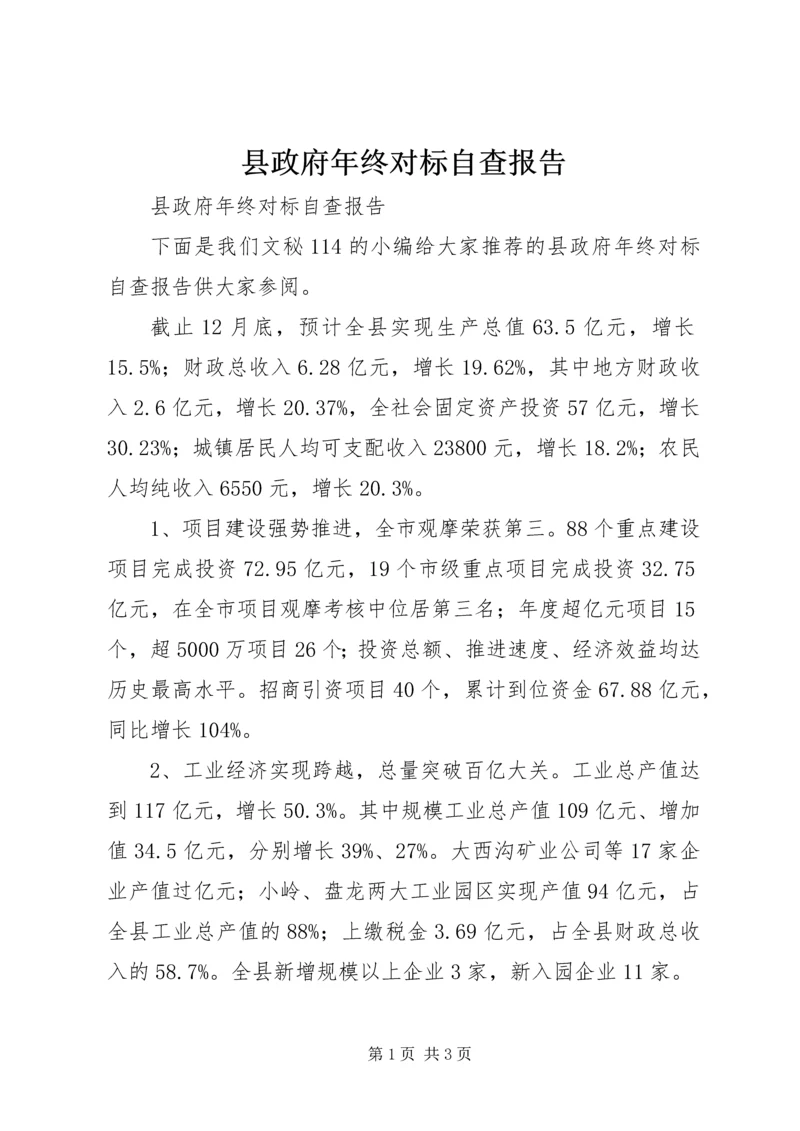 县政府年终对标自查报告.docx