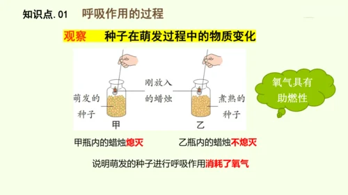 3.2.3呼吸作用-七年级生物下学期同步精品课件（2024人教版）(共24张PPT)