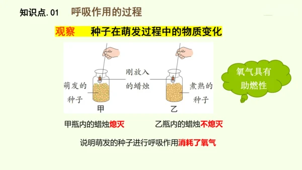 3.2.3呼吸作用-七年级生物下学期同步精品课件（2024人教版）(共24张PPT)