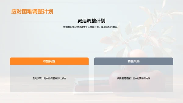 教师职业发展指南