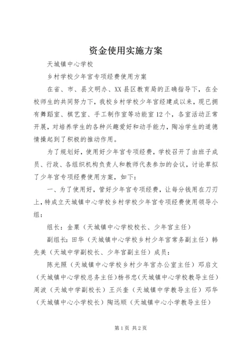 资金使用实施方案 (2).docx