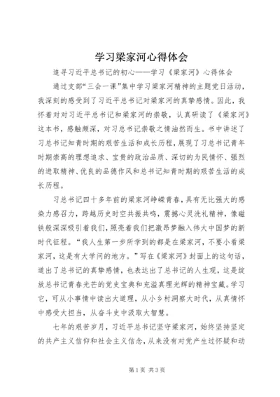 学习梁家河心得体会 (10).docx