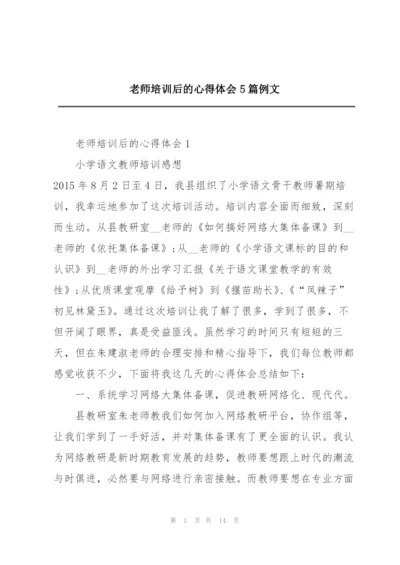 老师培训后的心得体会5篇例文.docx