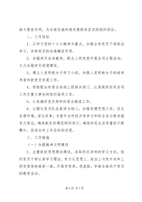 村党总支XX年度工作计划.docx