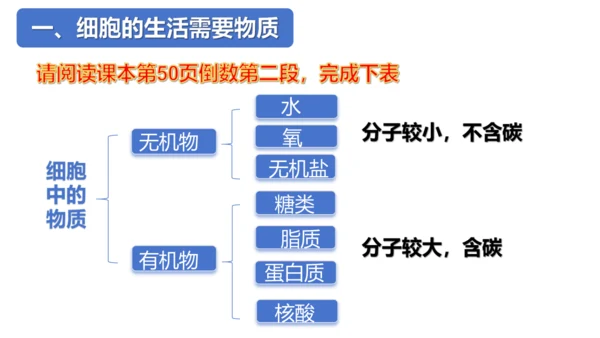 2.1.4细胞的生活课件2023--2024学年人教版生物七年级上册(共34张PPT)
