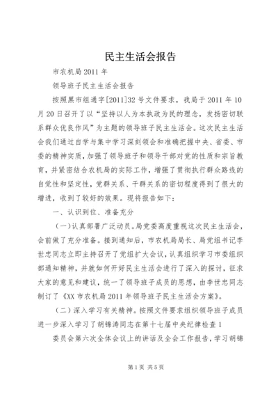 民主生活会报告 (2).docx