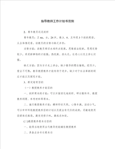 指导教师工作计划书范例