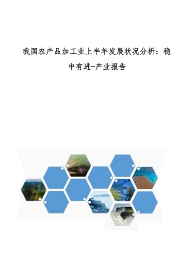 我国农产品加工业上半年发展状况分析-稳中有进-产业报告.docx