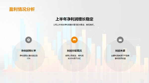 财务半年度分析