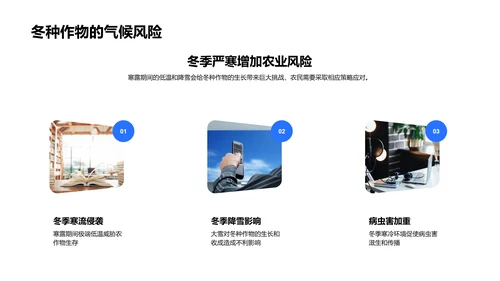 寒露期农业影响解析PPT模板