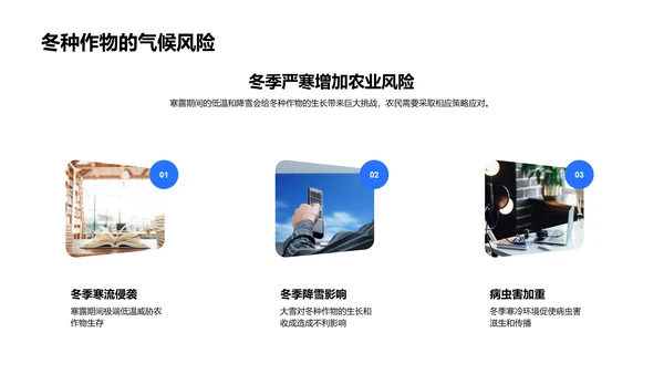 寒露期农业影响解析PPT模板