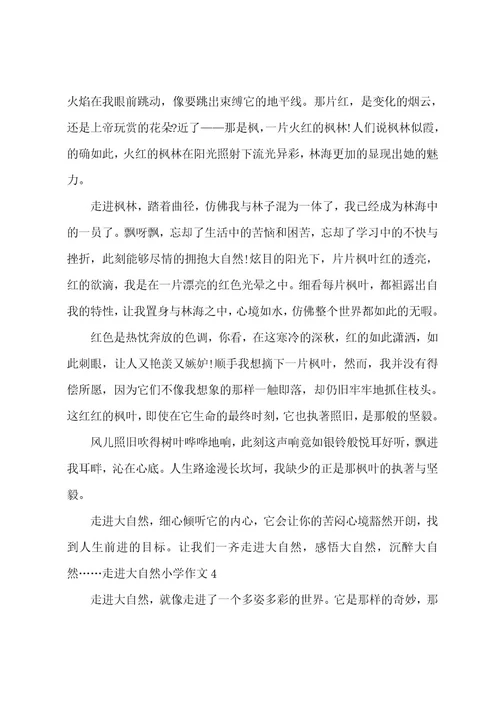 走进大自然小学作文