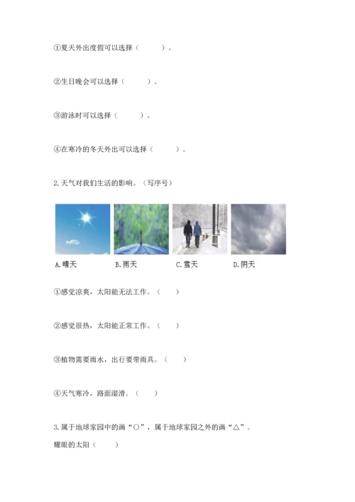 教科版科学二年级上册《期末测试卷》（综合卷）.docx