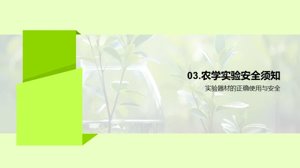 农学实验探究与技巧