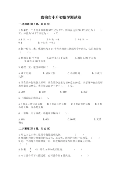 盘锦市小升初数学测试卷完整版.docx