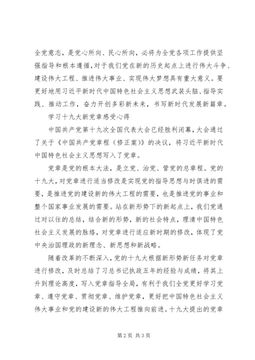 学习新党章心得体会两篇.docx