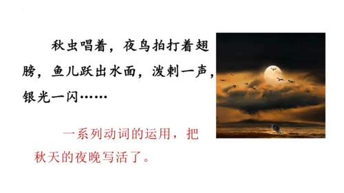 2《走月亮》  课件