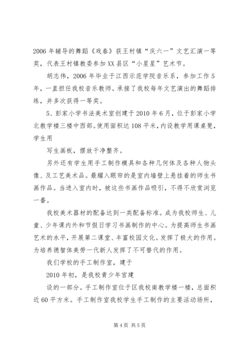 珠坑中心小学少年宫自查报告.docx