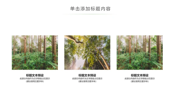 绿色森林植树造林林业木材园动态PPT模板