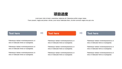 项目进度-简约商务3项PPT