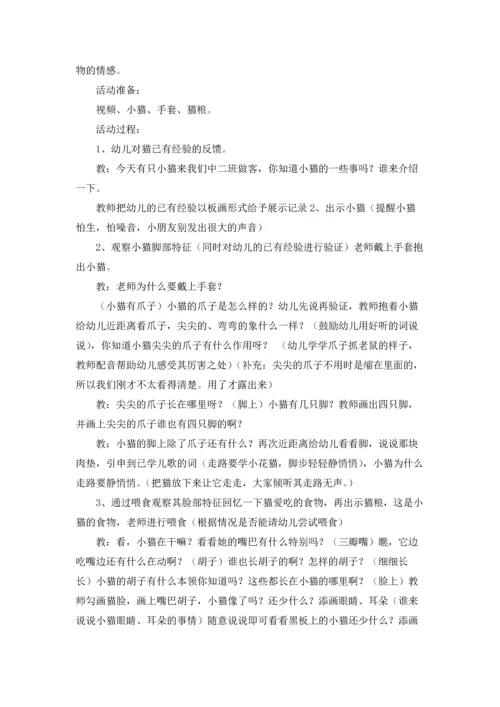 关于科学教案汇编5篇.docx
