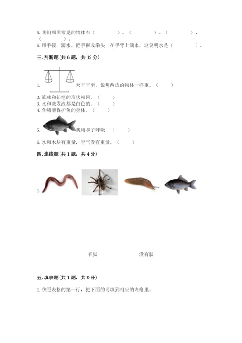 教科版一年级下册科学期末测试卷【研优卷】.docx