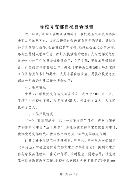 学校党支部自检自查报告.docx