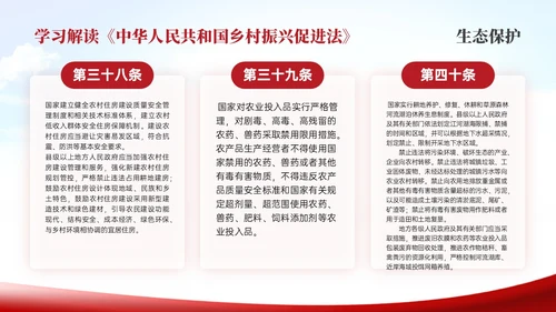 红色简约乡村振兴促进法解读学习PPT模板