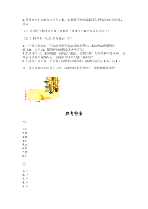 人教版数学小升初模拟试卷及参考答案（培优）.docx