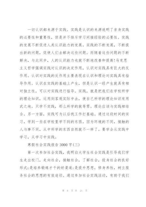 寒假社会实践报告3000字五篇.docx