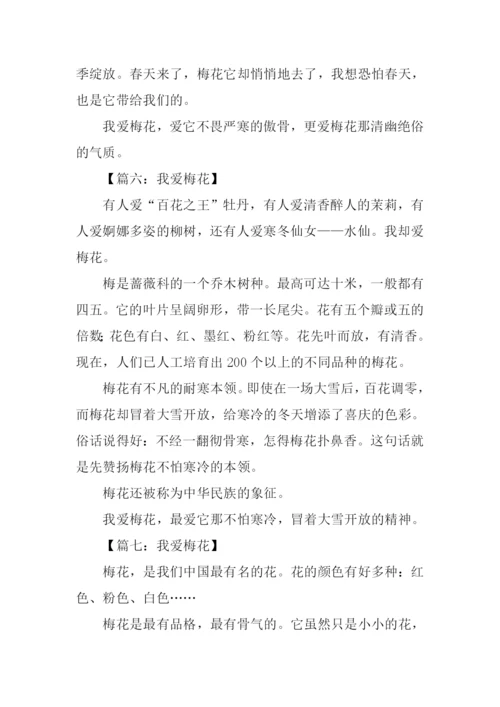 我爱梅花作文300字.docx