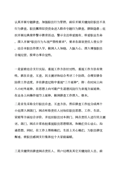 活动专项方案之案件防控整改专项方案.docx