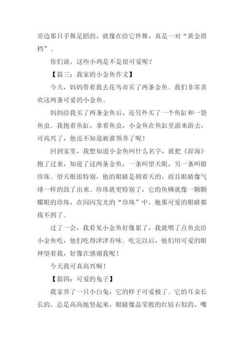 关于小动物的作文200字.docx