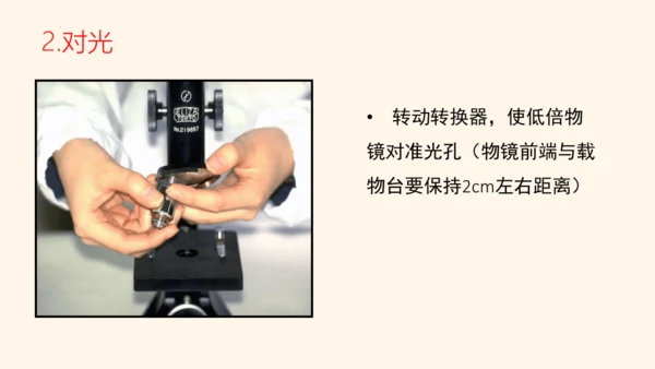 2.1.1练习使用显微镜课件2023--2024学年人教版生物七年级上册(共32张PPT)
