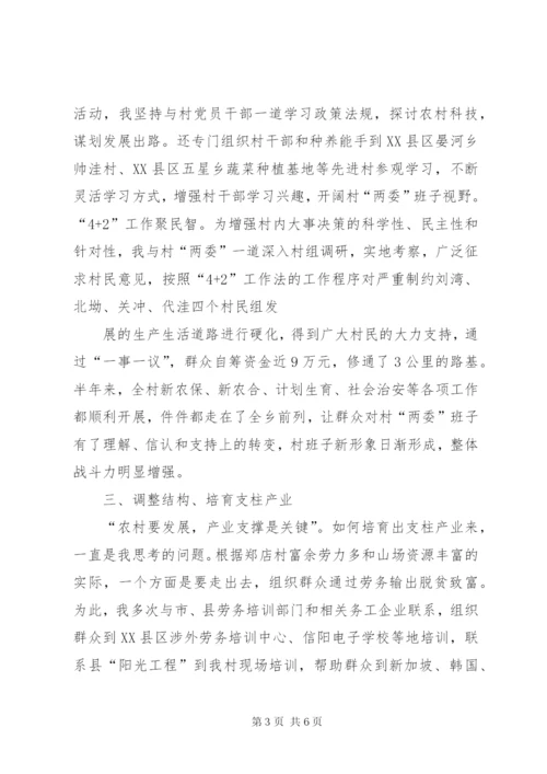 某年上半年驻村第一书记工作总结.docx