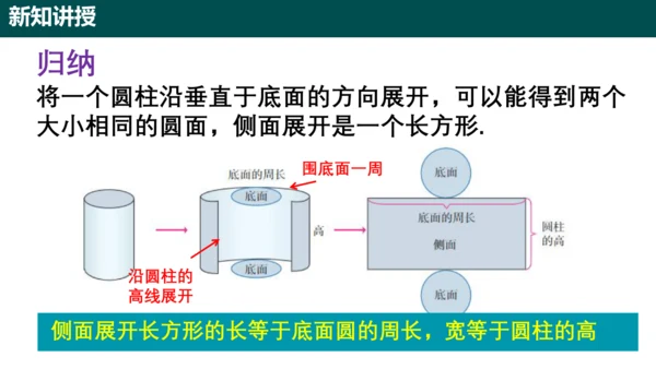 3.1.2圆柱的表面积 课件(共17张PPT)-六年级数学上册精品课堂（人教版五四制2024）