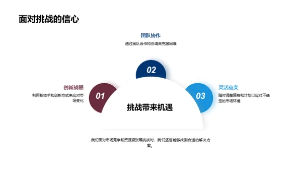 公司发展与战略规划