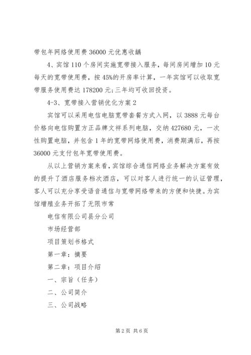 公司项目策划书范文.docx