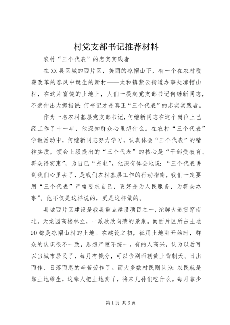 村党支部书记推荐材料 (2).docx