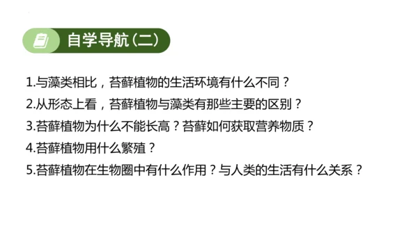 2.1.1藻类、苔藓植物和蕨类植物-七年级生物上学期同步优质课件（人教版2024）(共26张PPT)