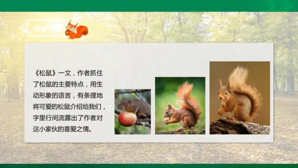 17 松鼠 第二课时课件