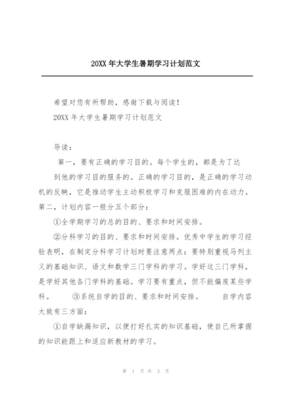 20XX年大学生暑期学习计划范文.docx