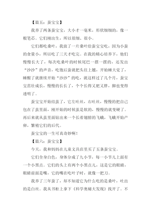 蚕宝宝作文300字.docx