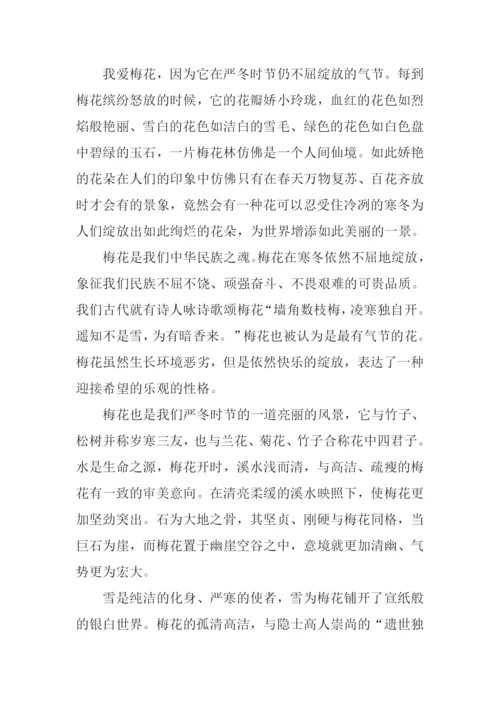 我爱梅花作文.docx